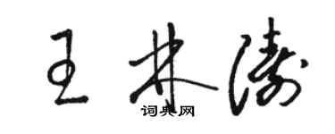 駱恆光王林濤草書個性簽名怎么寫