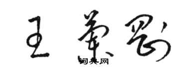 駱恆光王蘭剛草書個性簽名怎么寫