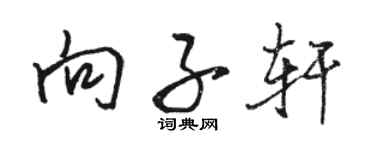 駱恆光向子軒行書個性簽名怎么寫