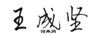 駱恆光王成堅行書個性簽名怎么寫