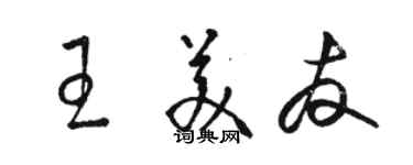 駱恆光王美友草書個性簽名怎么寫