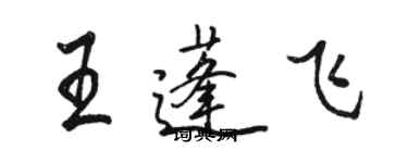 駱恆光王蓬飛行書個性簽名怎么寫