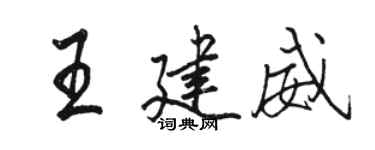 駱恆光王建威行書個性簽名怎么寫