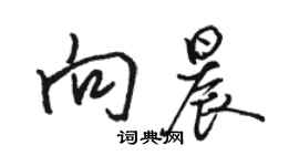 駱恆光向晨行書個性簽名怎么寫