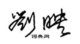 朱錫榮劉映草書個性簽名怎么寫