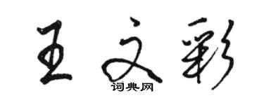 駱恆光王文彩行書個性簽名怎么寫