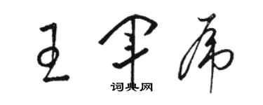 駱恆光王軍虎草書個性簽名怎么寫