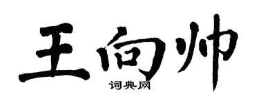 翁闓運王向帥楷書個性簽名怎么寫