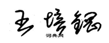 朱錫榮王培鋼草書個性簽名怎么寫