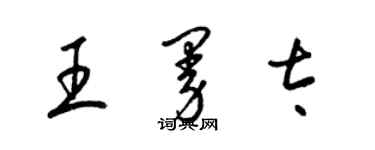 梁錦英王曼太草書個性簽名怎么寫