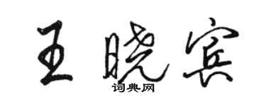 駱恆光王曉賓行書個性簽名怎么寫