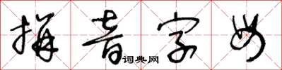 王冬齡拼音字母草書怎么寫