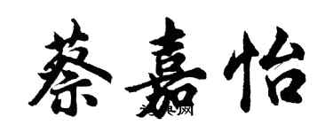 胡問遂蔡嘉怡行書個性簽名怎么寫