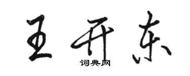 駱恆光王開東行書個性簽名怎么寫