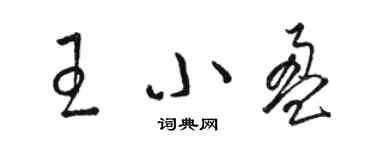 駱恆光王小盈草書個性簽名怎么寫