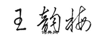 駱恆光王韻梅草書個性簽名怎么寫