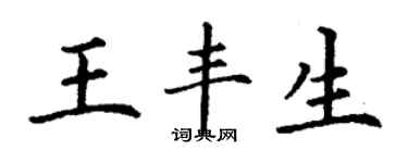 丁謙王豐生楷書個性簽名怎么寫