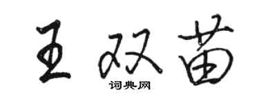 駱恆光王雙苗行書個性簽名怎么寫