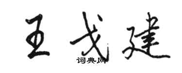 駱恆光王戈建行書個性簽名怎么寫