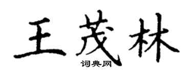 丁謙王茂林楷書個性簽名怎么寫