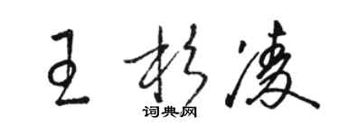 駱恆光王杉凌草書個性簽名怎么寫