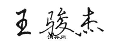 駱恆光王駿傑行書個性簽名怎么寫