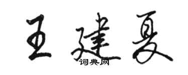 駱恆光王建夏行書個性簽名怎么寫