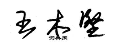 朱錫榮王木堅草書個性簽名怎么寫