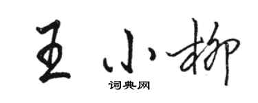 駱恆光王小柳行書個性簽名怎么寫