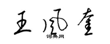 梁錦英王風奎草書個性簽名怎么寫