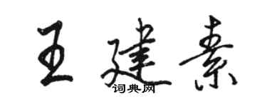 駱恆光王建素行書個性簽名怎么寫