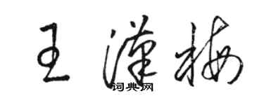 駱恆光王漢梅草書個性簽名怎么寫