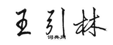 駱恆光王引林行書個性簽名怎么寫