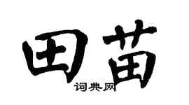 翁闓運田苗楷書個性簽名怎么寫