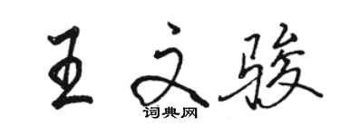 駱恆光王文駿行書個性簽名怎么寫