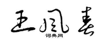 曾慶福王風春草書個性簽名怎么寫