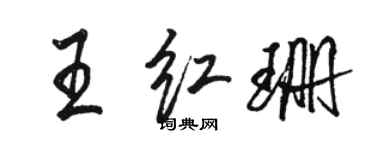 駱恆光王紅珊行書個性簽名怎么寫