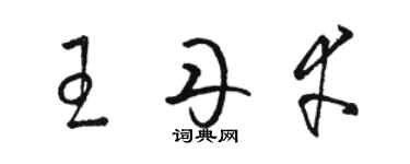 駱恆光王丹幸草書個性簽名怎么寫