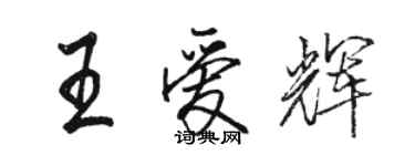 駱恆光王愛輝行書個性簽名怎么寫