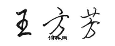 駱恆光王方芳行書個性簽名怎么寫