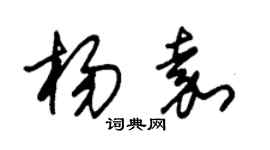 朱錫榮楊嘉草書個性簽名怎么寫