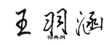駱恆光王羽涵行書個性簽名怎么寫
