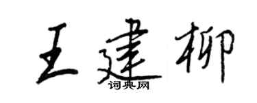 王正良王建柳行書個性簽名怎么寫