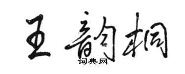 駱恆光王韻桐行書個性簽名怎么寫