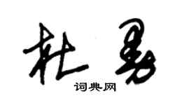 朱錫榮杜曼草書個性簽名怎么寫