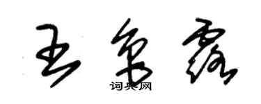 朱錫榮王魯露草書個性簽名怎么寫