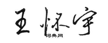 駱恆光王懷宇行書個性簽名怎么寫