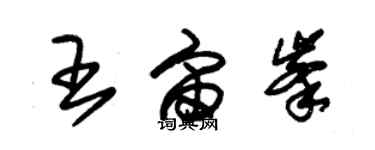 朱錫榮王宙峰草書個性簽名怎么寫