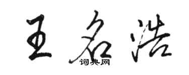 駱恆光王名浩行書個性簽名怎么寫