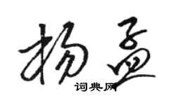 駱恆光楊孟草書個性簽名怎么寫